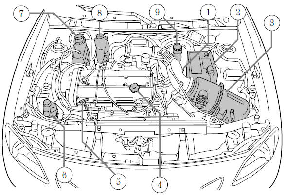 Ford Escort. Identifying components in the engine compartment